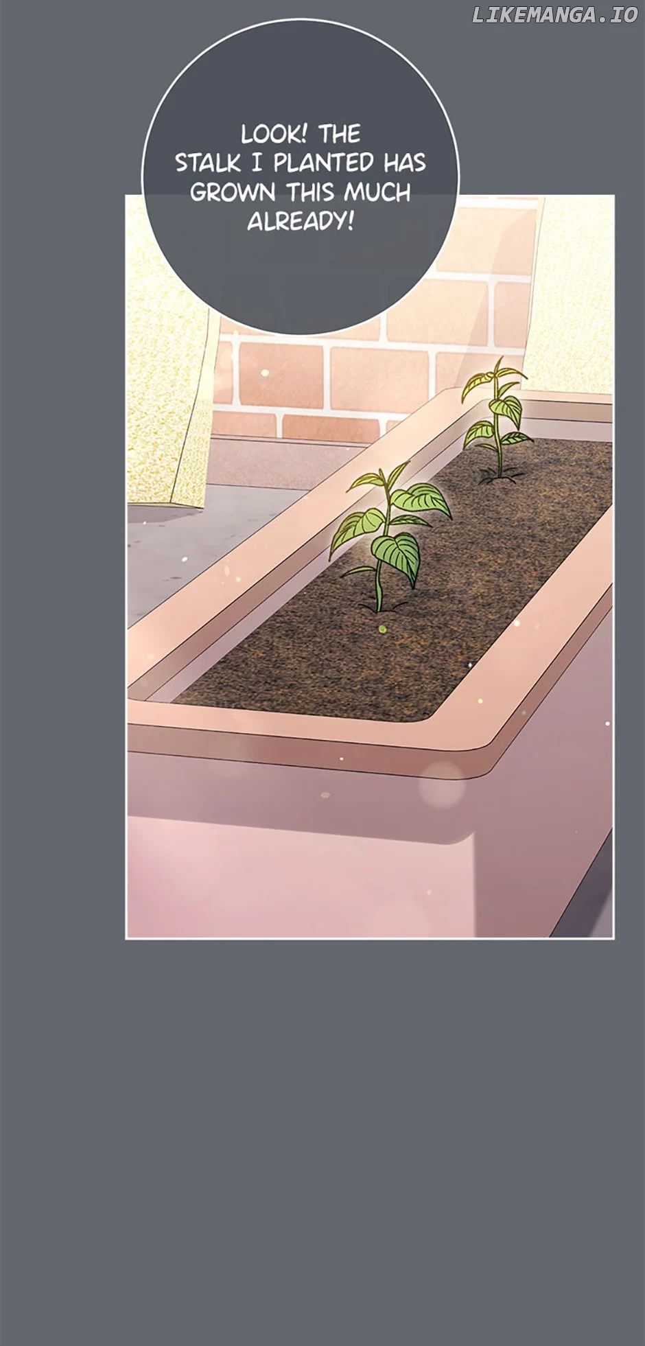 The Baby Concubine Wants to Live Quietly Chapter 44 - Page 54