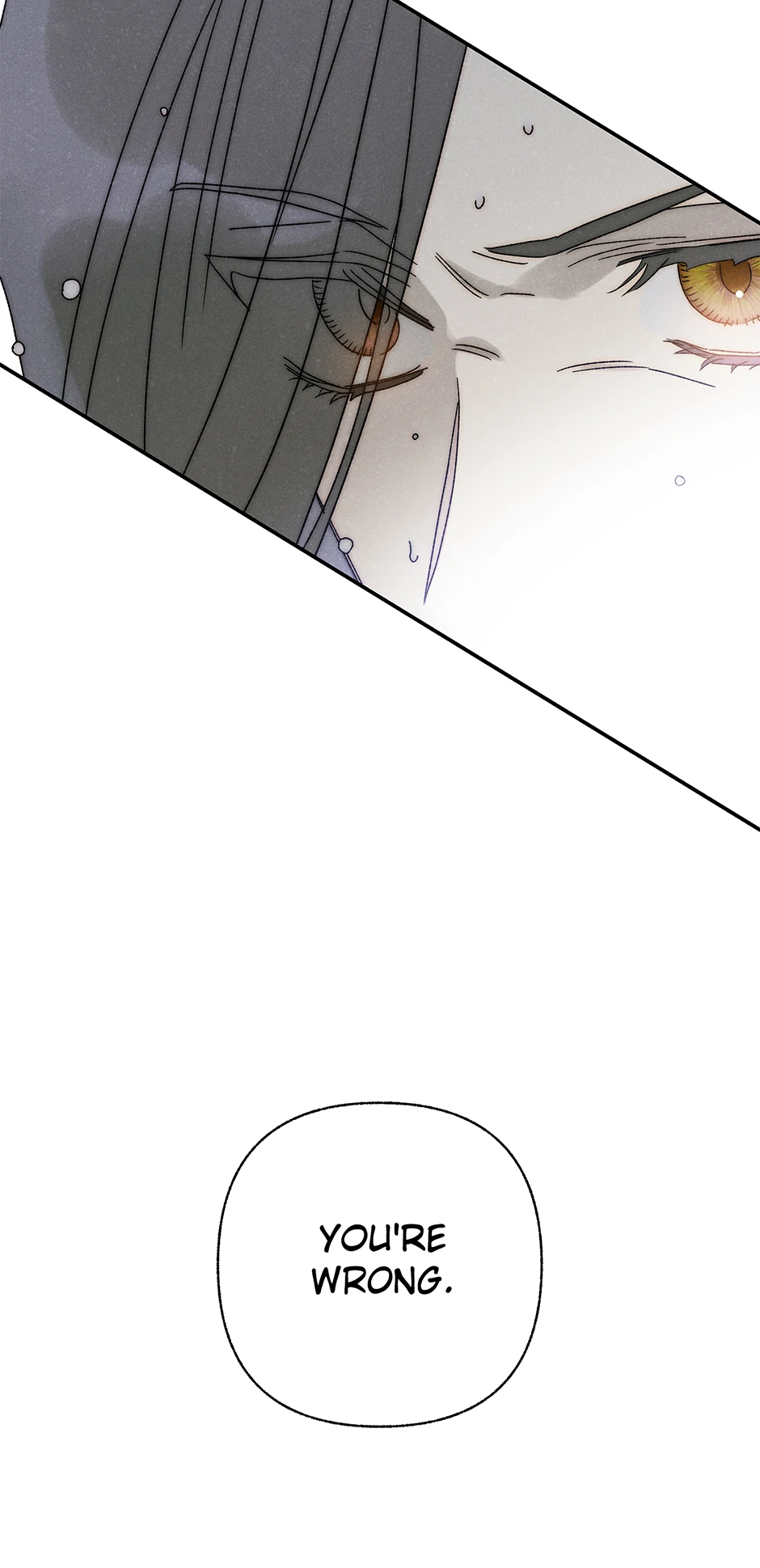Royal Marriage (2024) Chapter 36 - Page 28