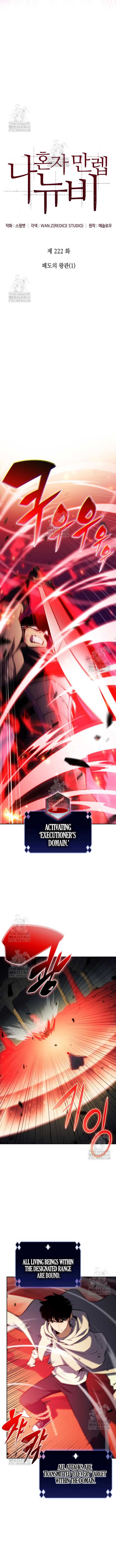 Solo Max-Level Newbie Chapter 222 - Page 3