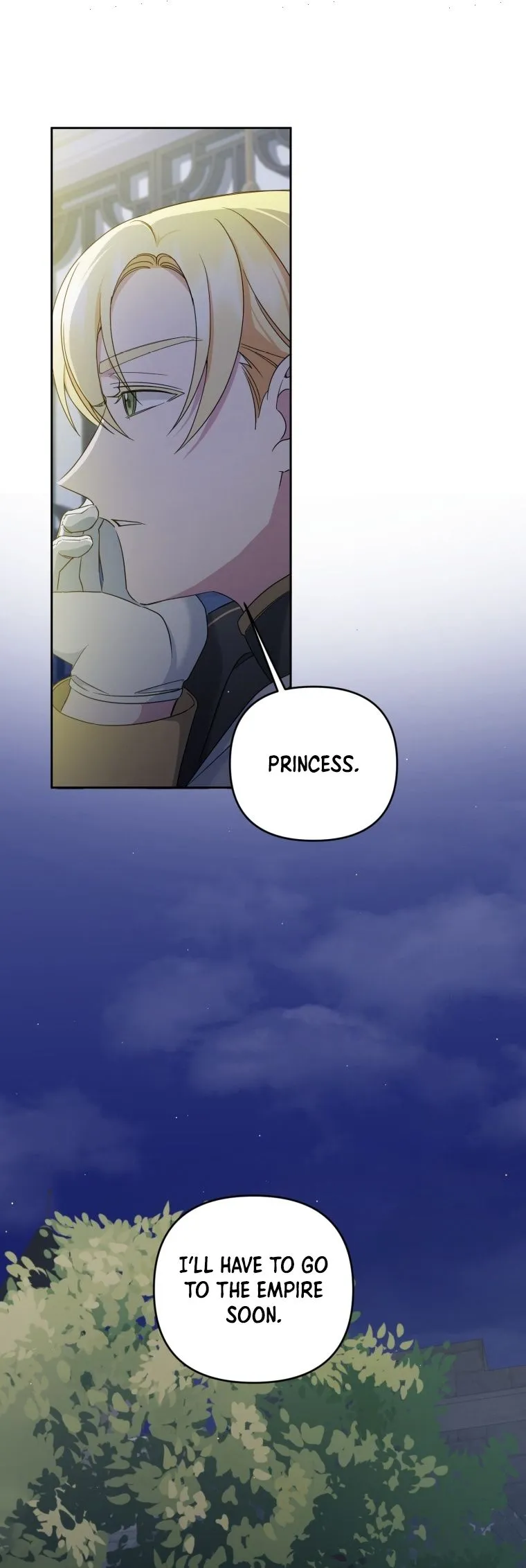 The Princess is Evil Chapter 49 - Page 15