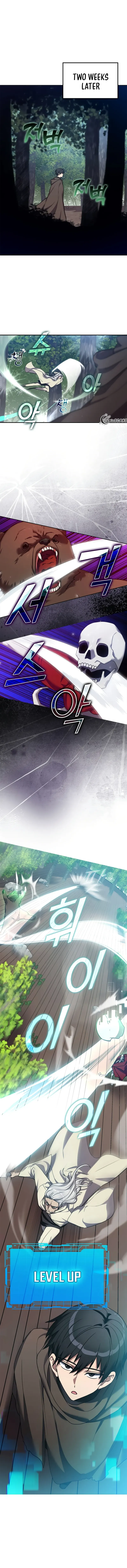 Max Level Player Chapter 4 - Page 1