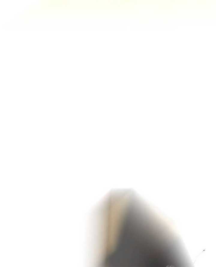 The Grand Duke’s Bride is a Hellborn Warrior Chapter 16 - Page 82