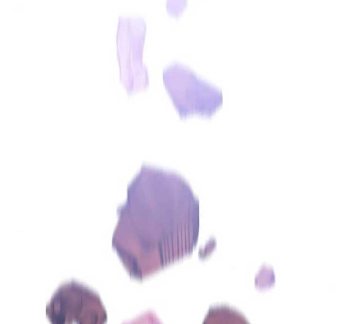 The Grand Duke’s Bride is a Hellborn Warrior Chapter 2 - Page 138