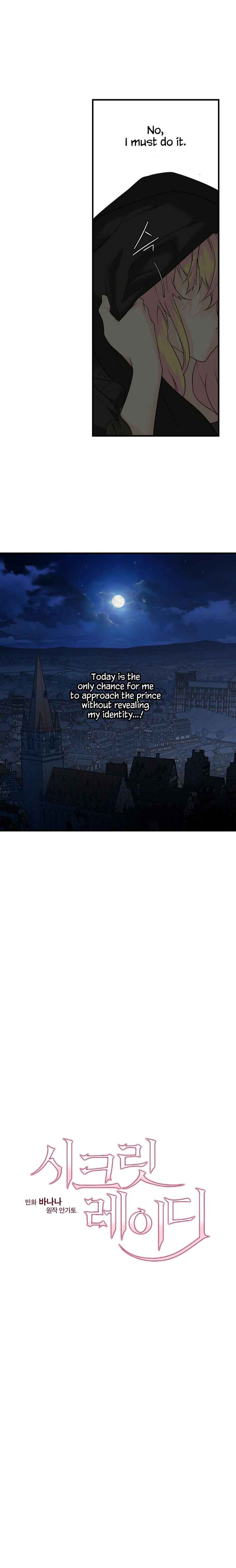 Secret Lady Chapter 5 - Page 12