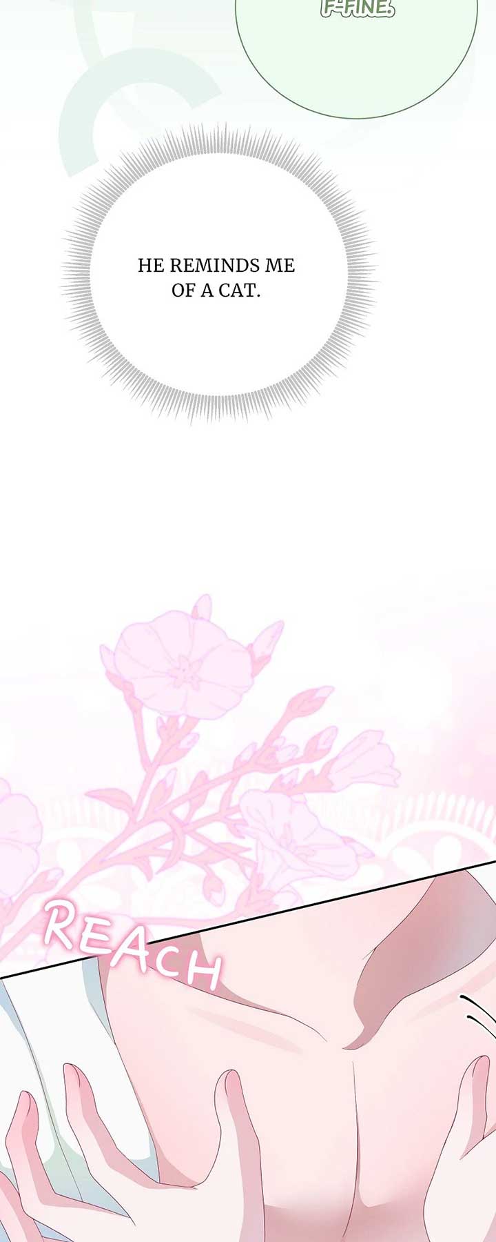 When Cinderella’s Magic Fades Away Chapter 66 - Page 35