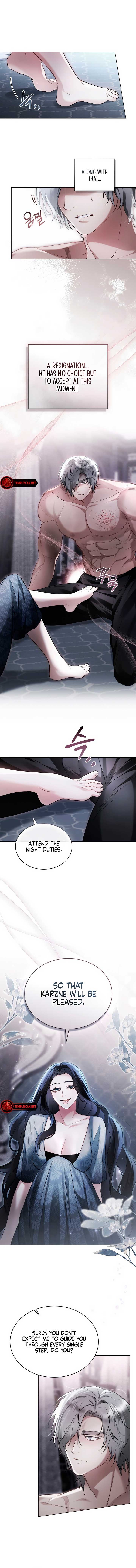 The Princess’s Bedchamber Toy Chapter 4 - Page 5