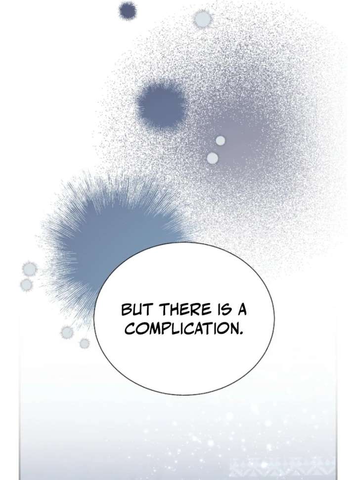 Cavier Falcon Princess Chapter 139 - Page 15