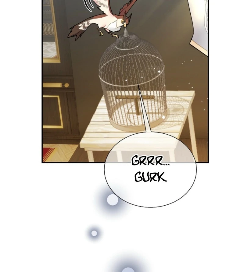 Cavier Falcon Princess Chapter 142 - Page 109