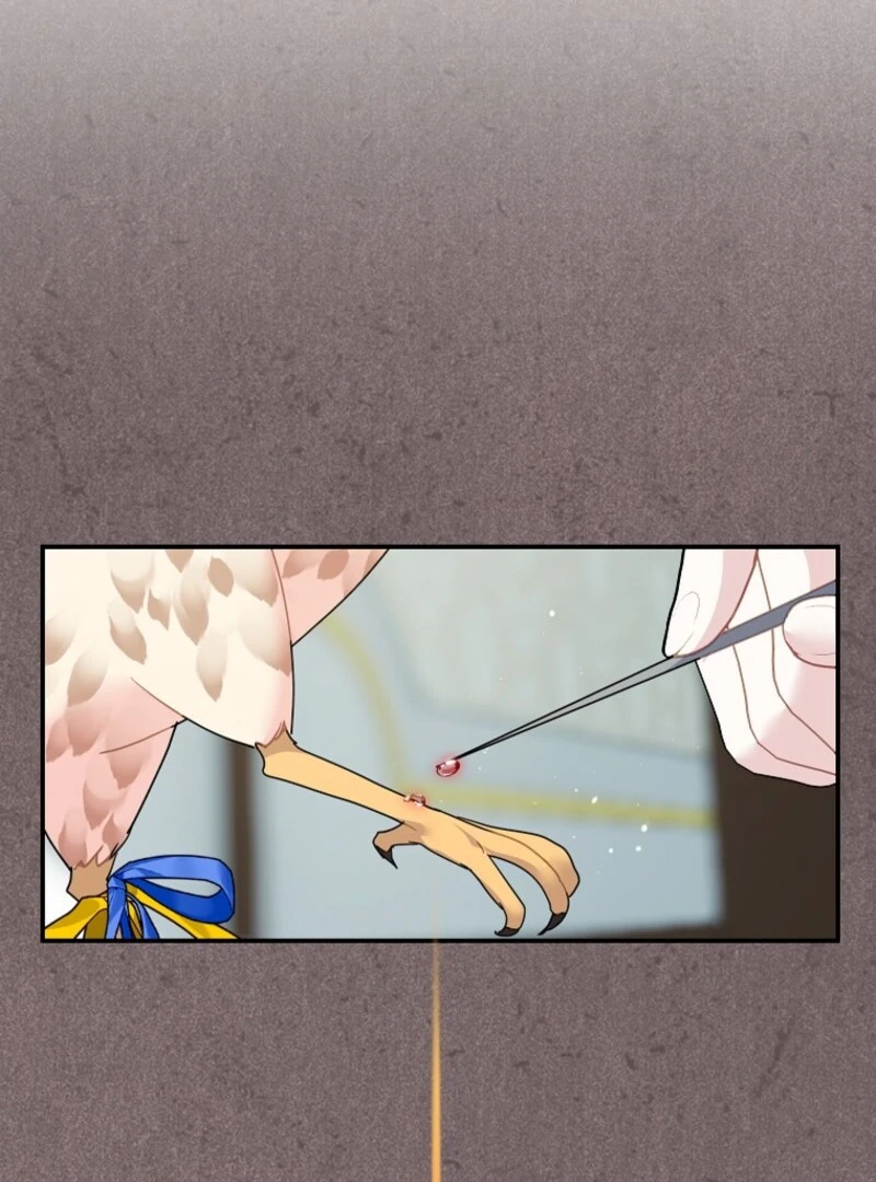 Cavier Falcon Princess Chapter 142 - Page 62