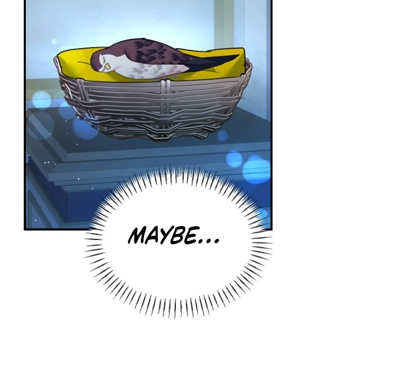 Cavier Falcon Princess Chapter 142 - Page 67