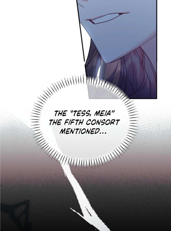 Cavier Falcon Princess Chapter 143 - Page 101