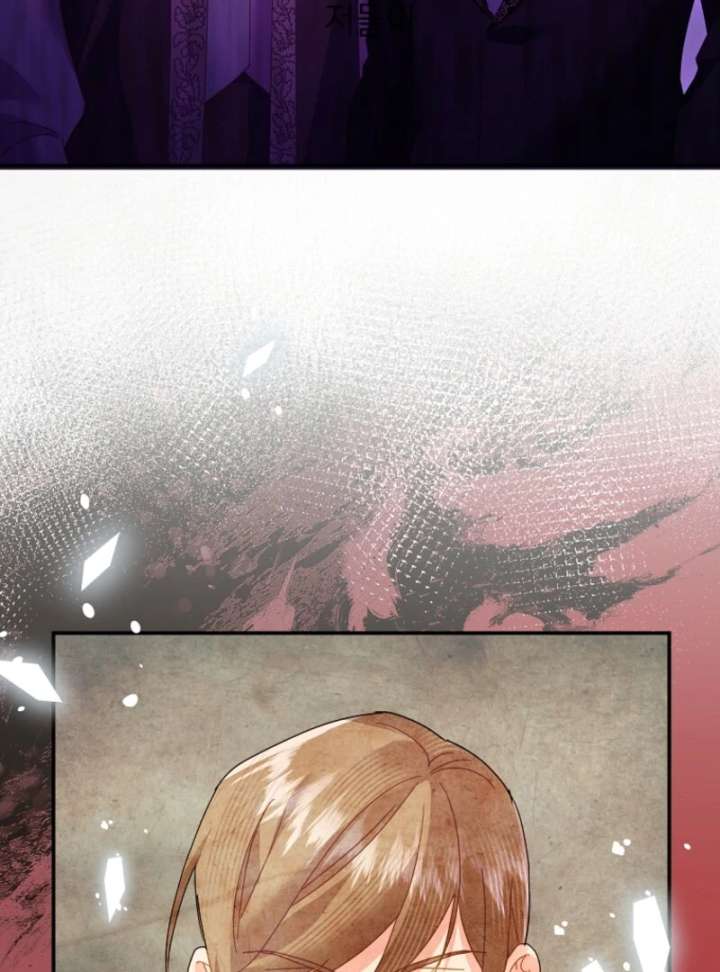 Cavier Falcon Princess Chapter 143 - Page 20