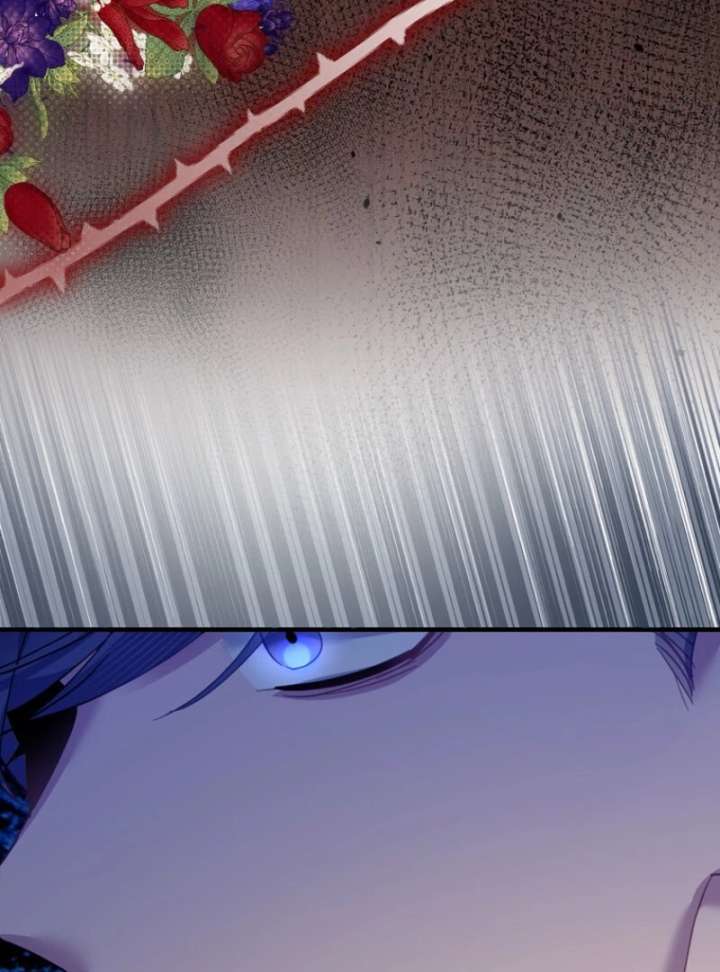 Cavier Falcon Princess Chapter 143 - Page 24