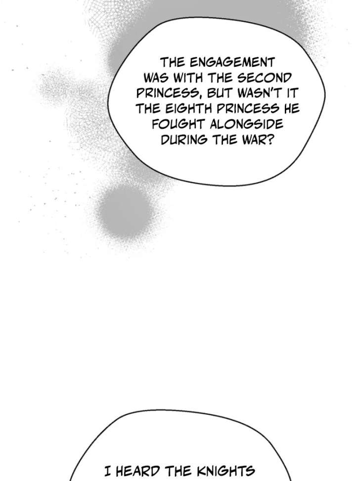 Cavier Falcon Princess Chapter 143 - Page 29