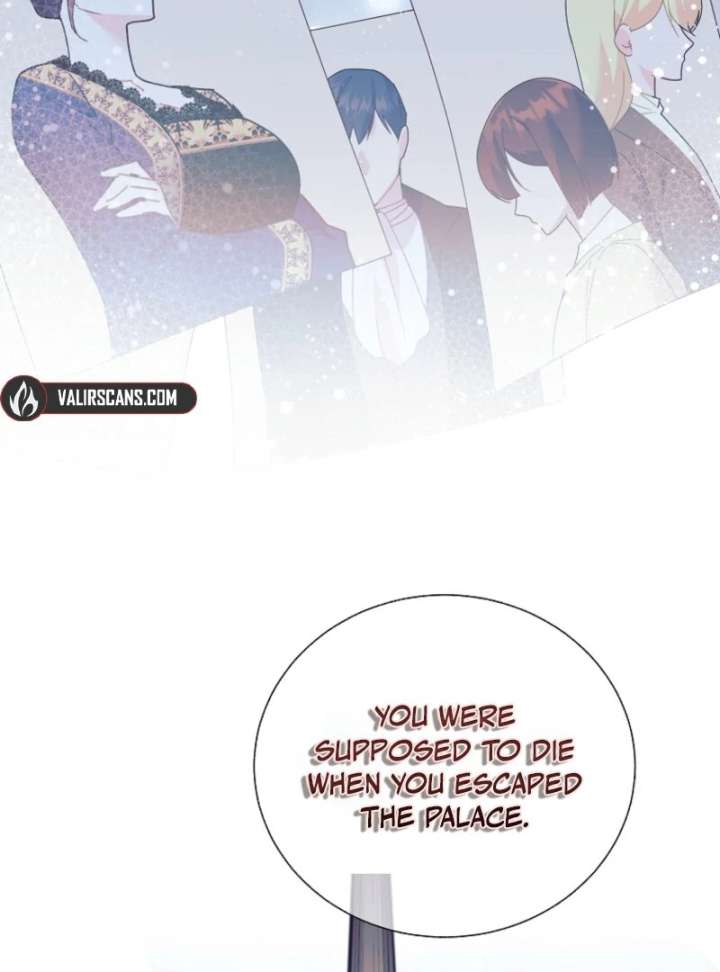 Cavier Falcon Princess Chapter 144 - Page 23