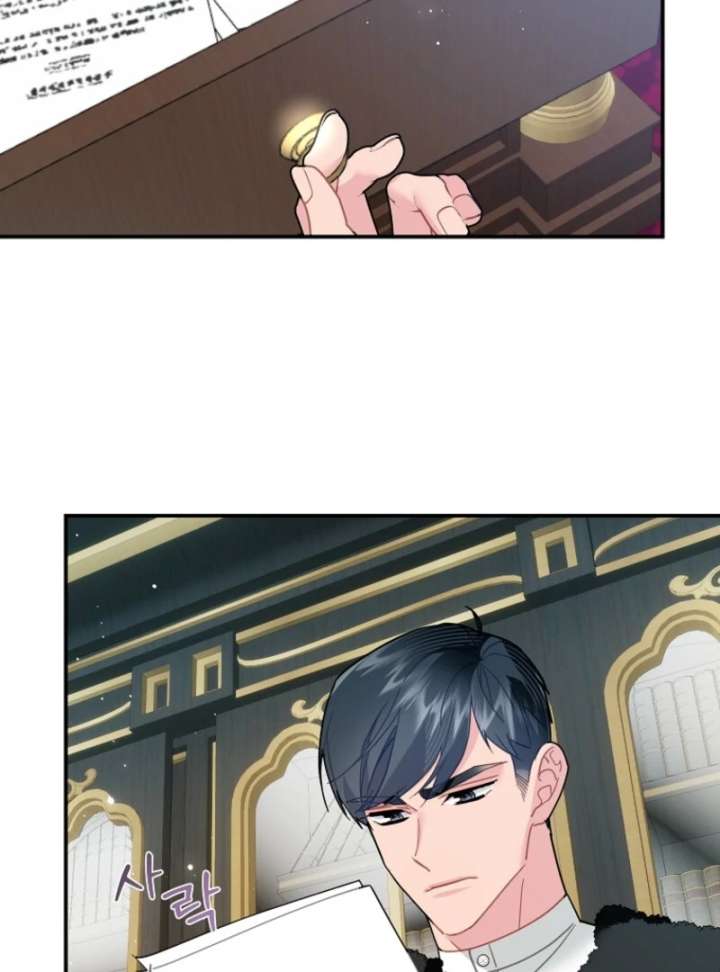 Cavier Falcon Princess Chapter 144 - Page 44