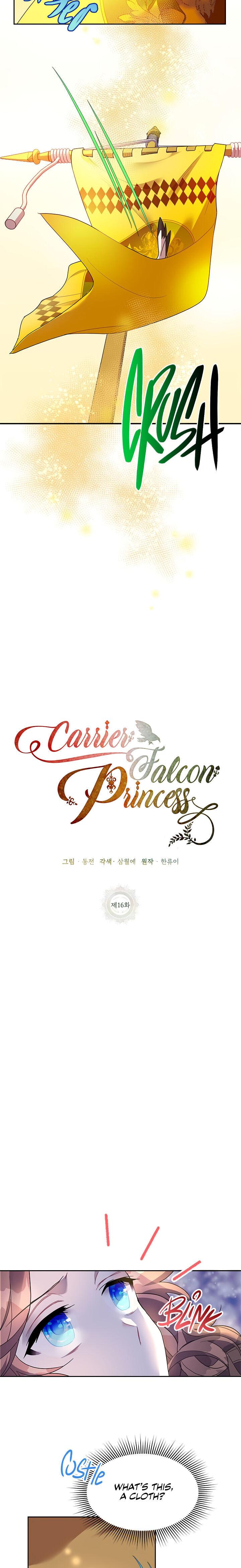 Cavier Falcon Princess Chapter 16 - Page 11