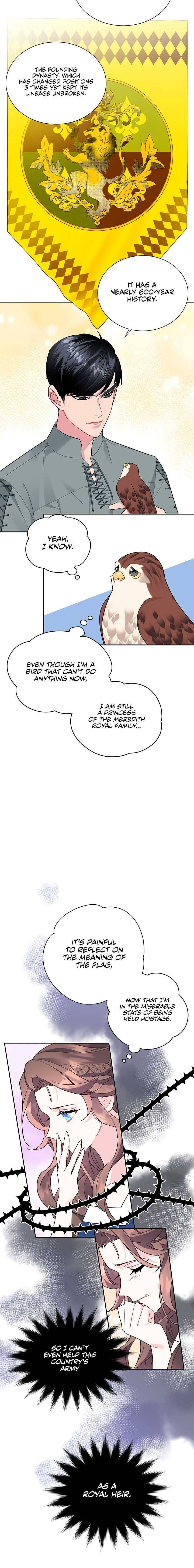 Cavier Falcon Princess Chapter 28 - Page 17