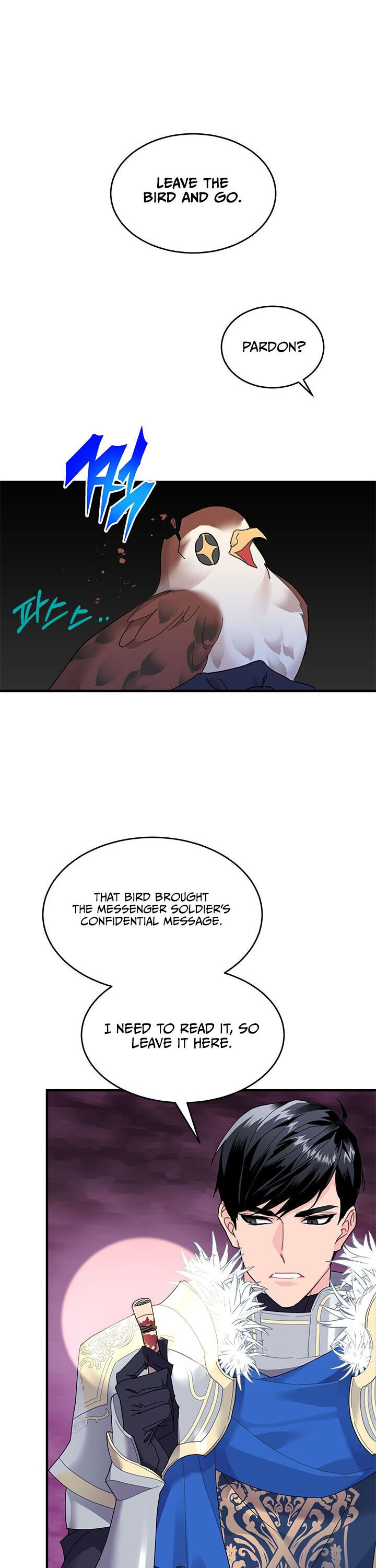 Cavier Falcon Princess Chapter 3 - Page 19