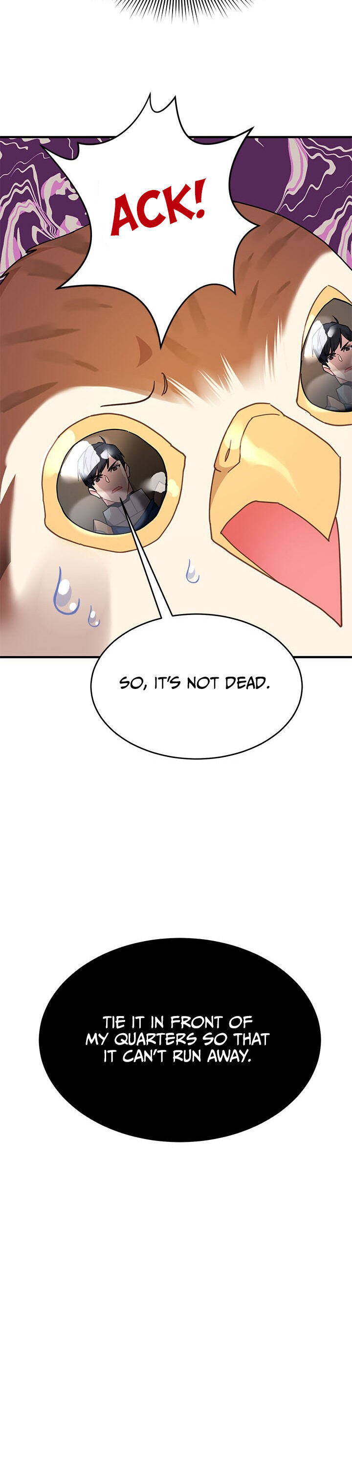 Cavier Falcon Princess Chapter 3 - Page 21