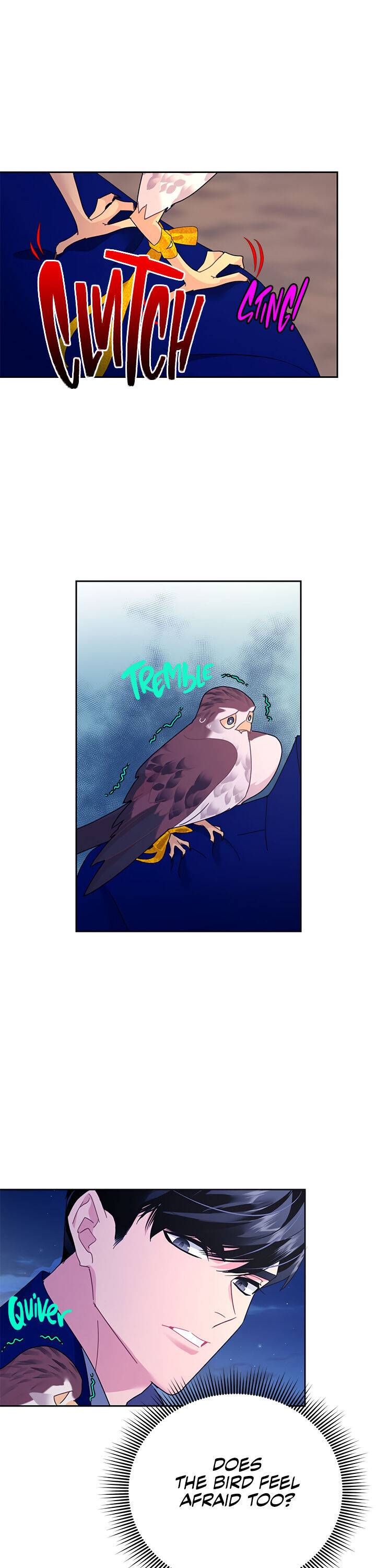 Cavier Falcon Princess Chapter 36 - Page 17