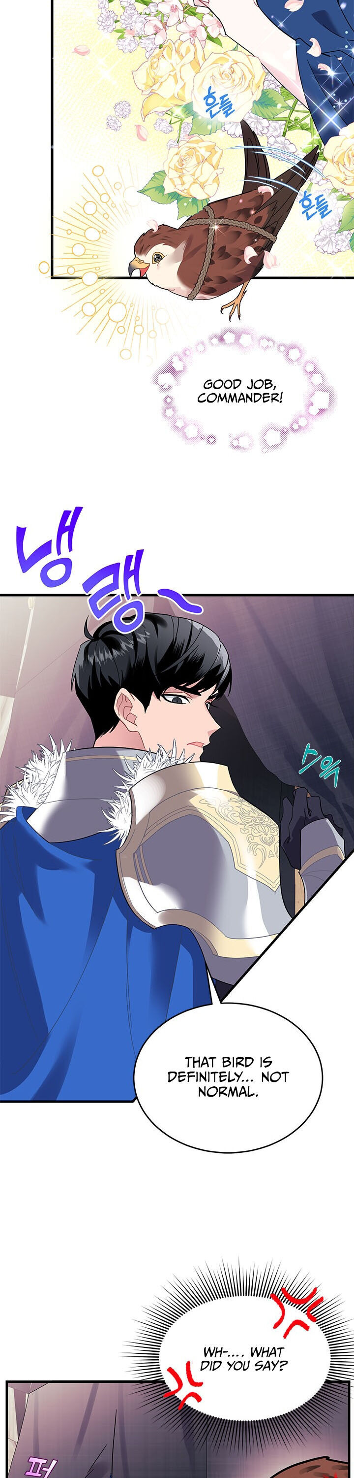 Cavier Falcon Princess Chapter 4 - Page 7