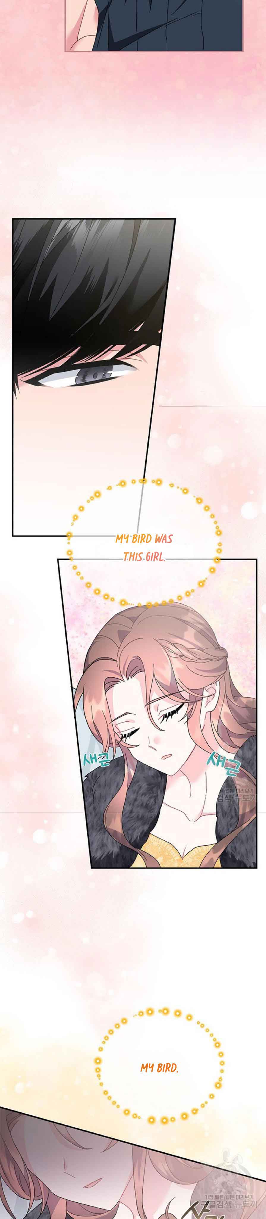 Cavier Falcon Princess Chapter 62 - Page 4