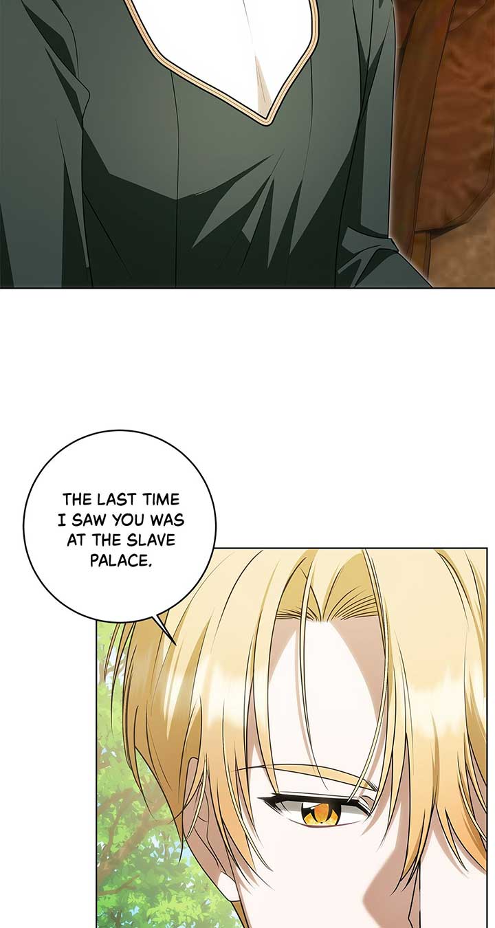 The Obsessive Emperor’s Capable Pharmacist Chapter 31 - Page 45