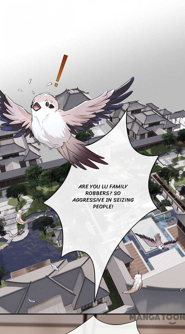 Madam and Her Daily Online Face-Slapping Chapter 19 - Page 1