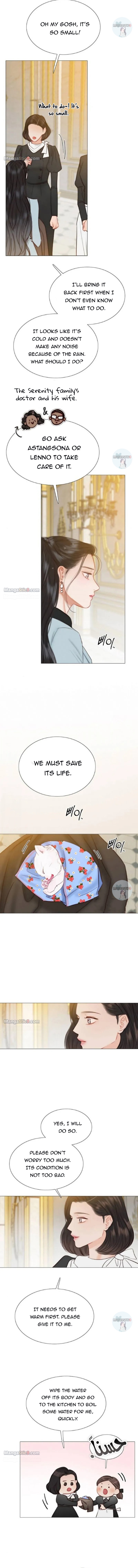Selena Chapter 41 - Page 3