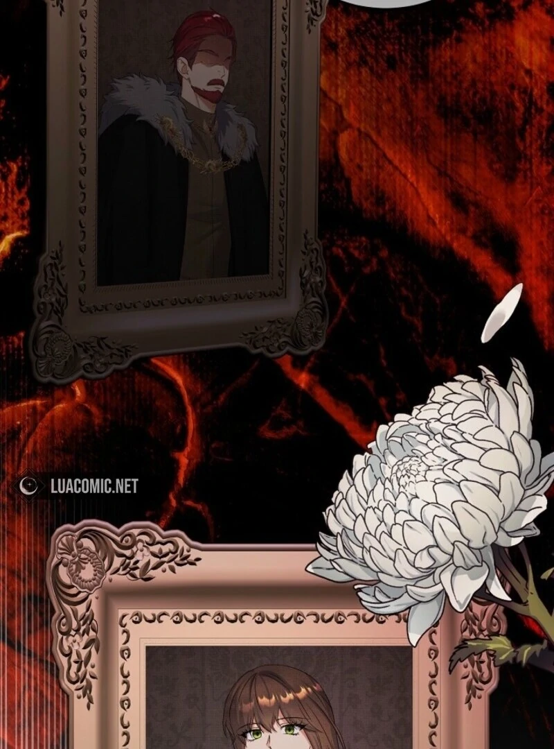 Celeb Lady Chapter 59 - Page 23