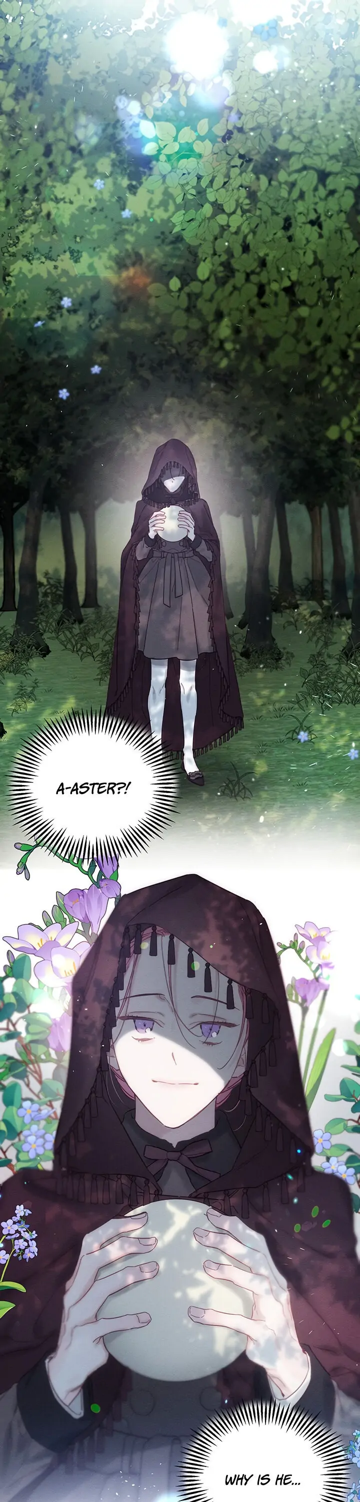 Let’s Hide My Younger Brother First Chapter 29 - Page 5