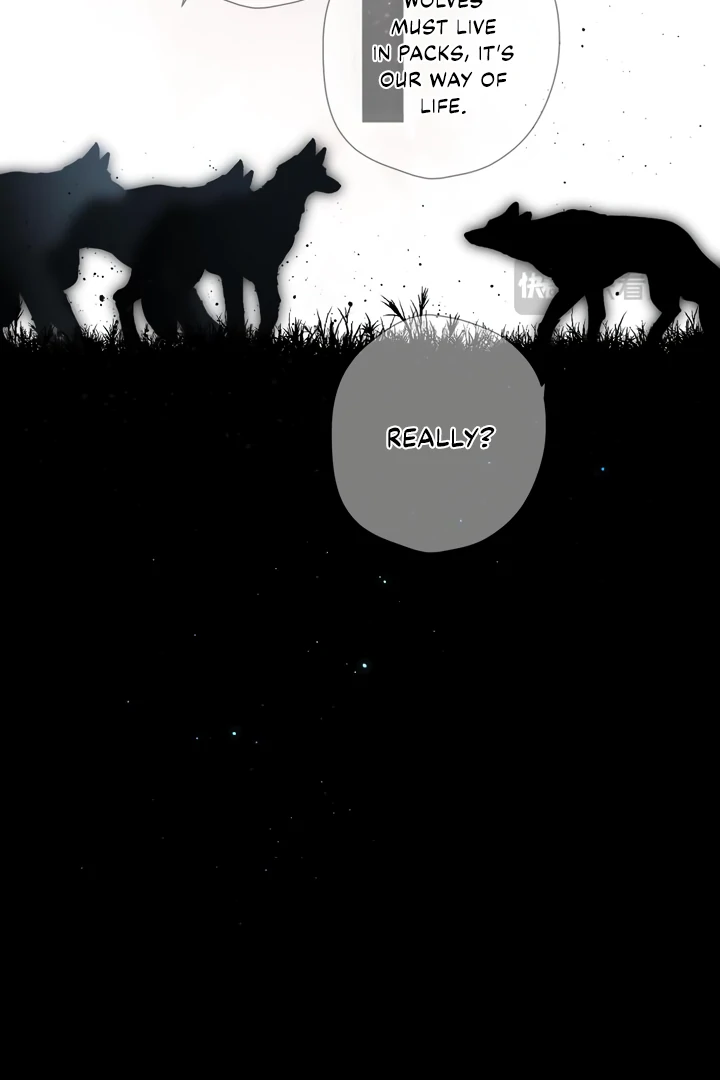 Back to Spring Chapter 32 - Page 13