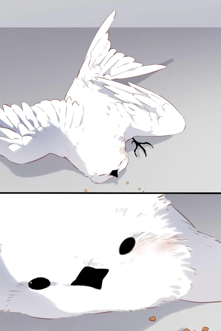 Back to Spring Chapter 32 - Page 45