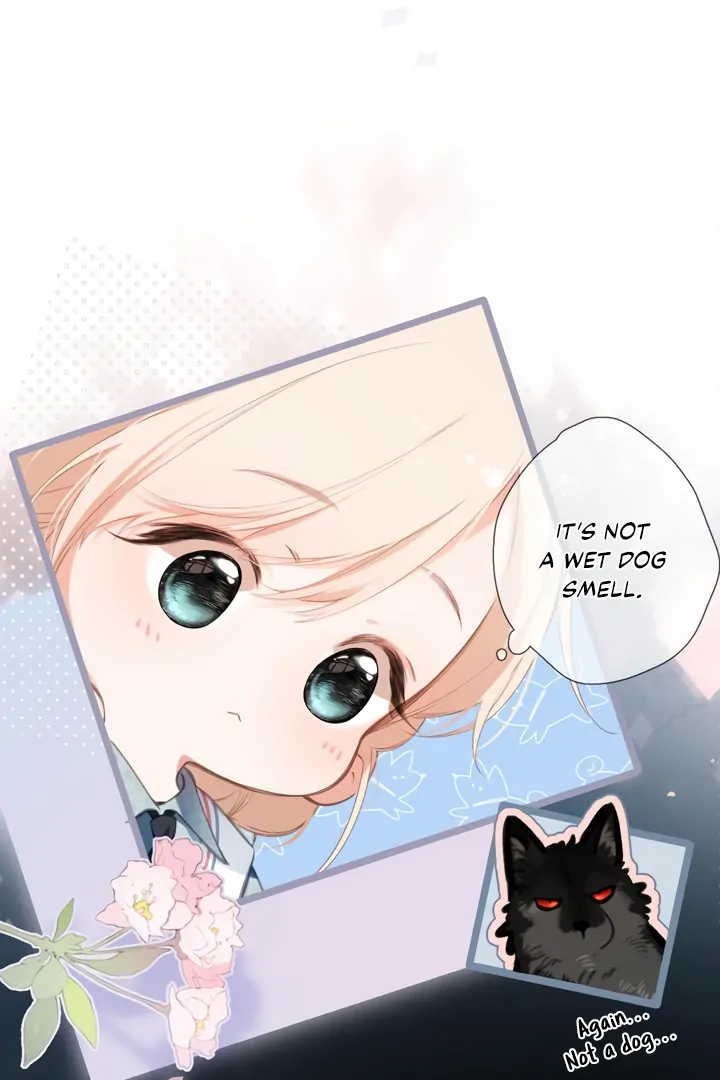 Back to Spring Chapter 44 - Page 13