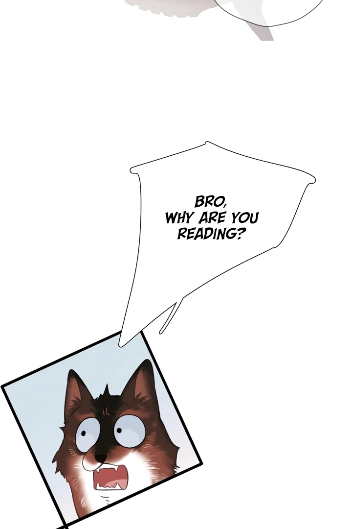 Back to Spring Chapter 45 - Page 56