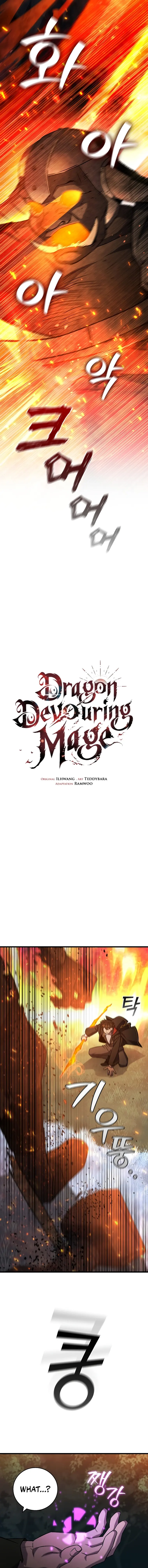 Dragon-Devouring Mage Chapter 23 - Page 15