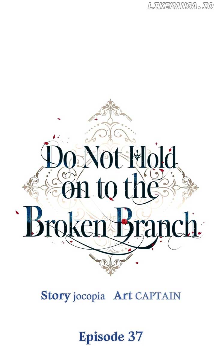 Don’t Grab the Broken Branch Chapter 37 - Page 13