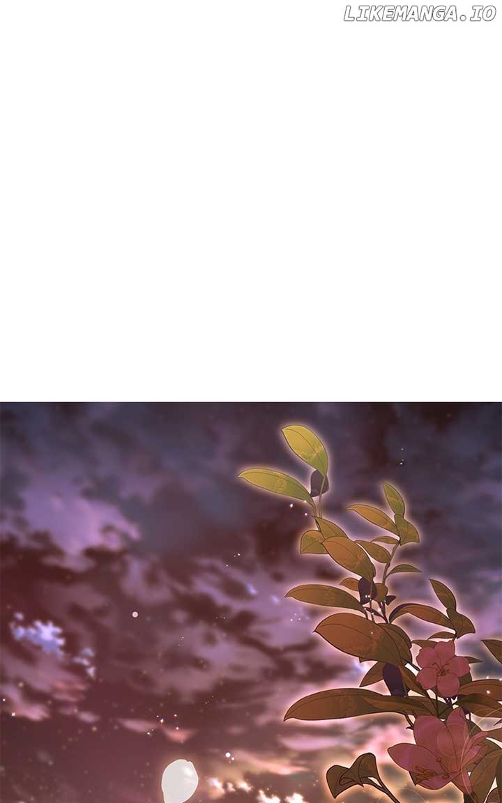 Don’t Grab the Broken Branch Chapter 53 - Page 1