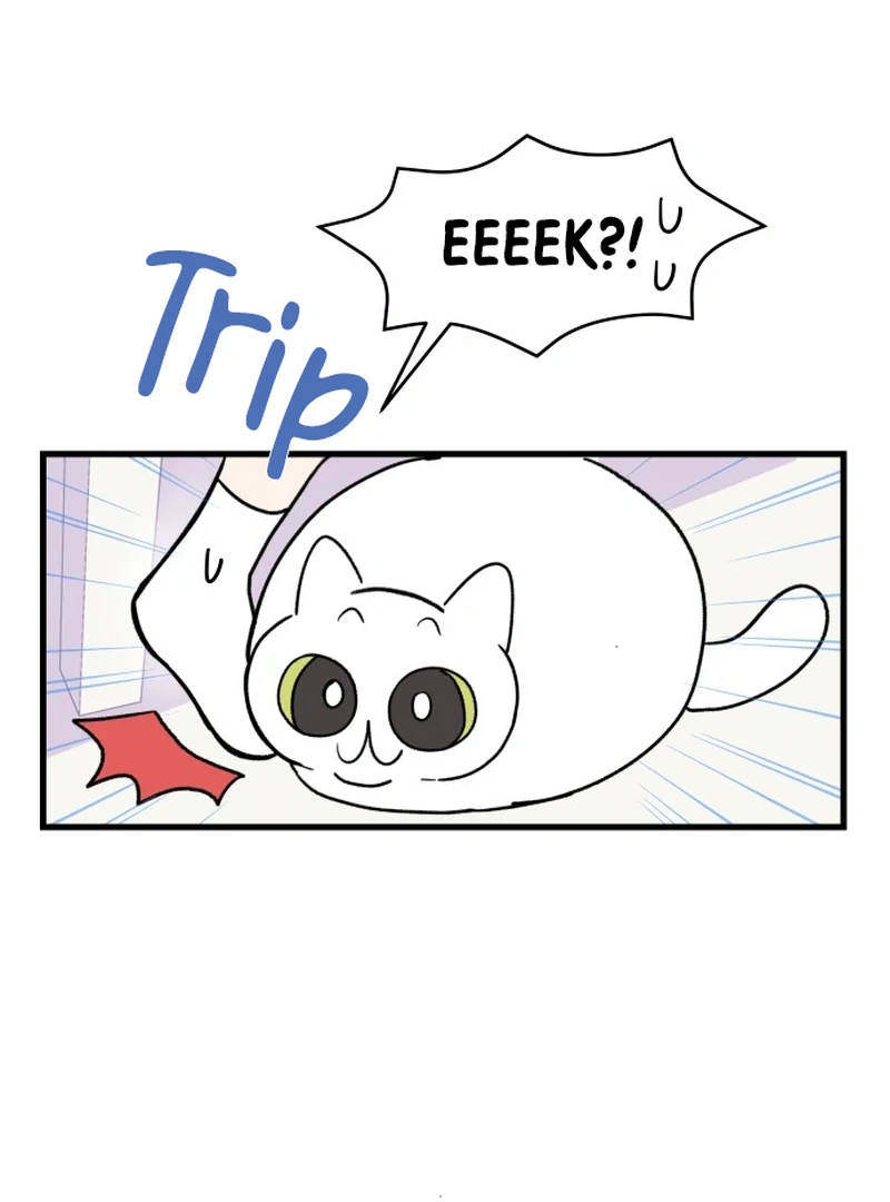 This Manhwa Ends When I Confess Chapter 9 - Page 41