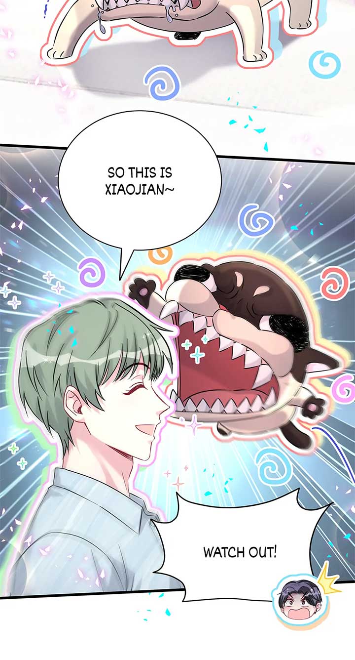 Whose Baby is it? Chapter 287 - Page 35