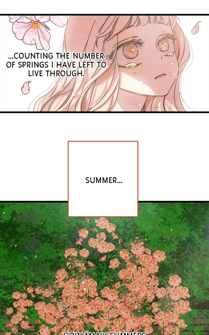 Girl with a Knife Chapter 156 - Page 29