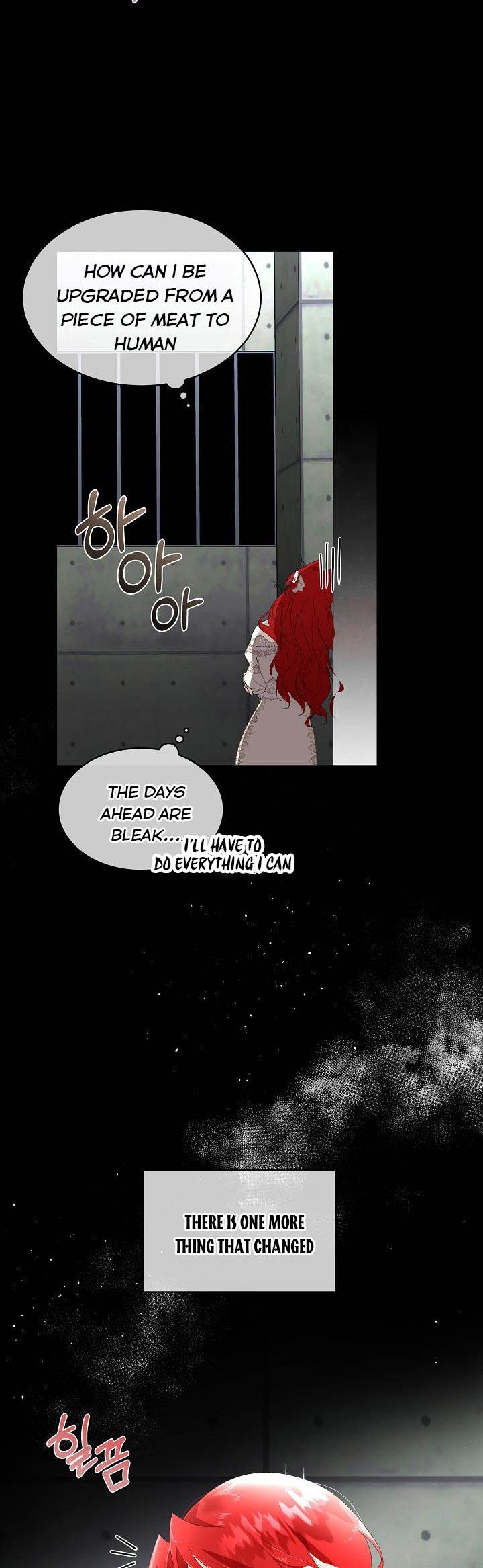I Will Temporarily Protect the Male Lead Chapter 2 - Page 11