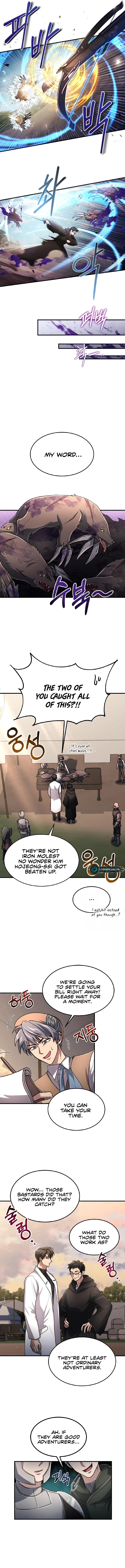 How to Live as an Illegal Healer Chapter 15 - Page 10