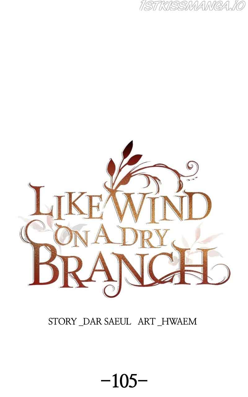 Like A Wind On A Dry Branch Chapter 105 - Page 1