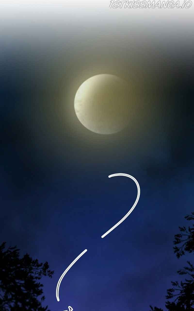 Like A Wind On A Dry Branch Chapter 105 - Page 41