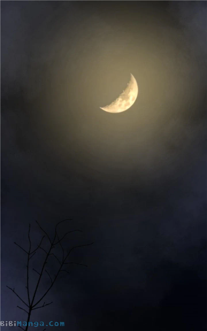 Like A Wind On A Dry Branch Chapter 157 - Page 85