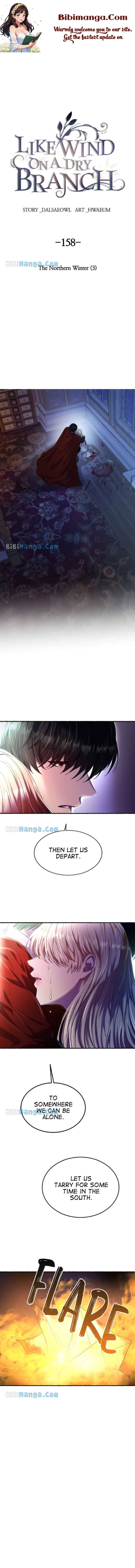 Like A Wind On A Dry Branch Chapter 158 - Page 1