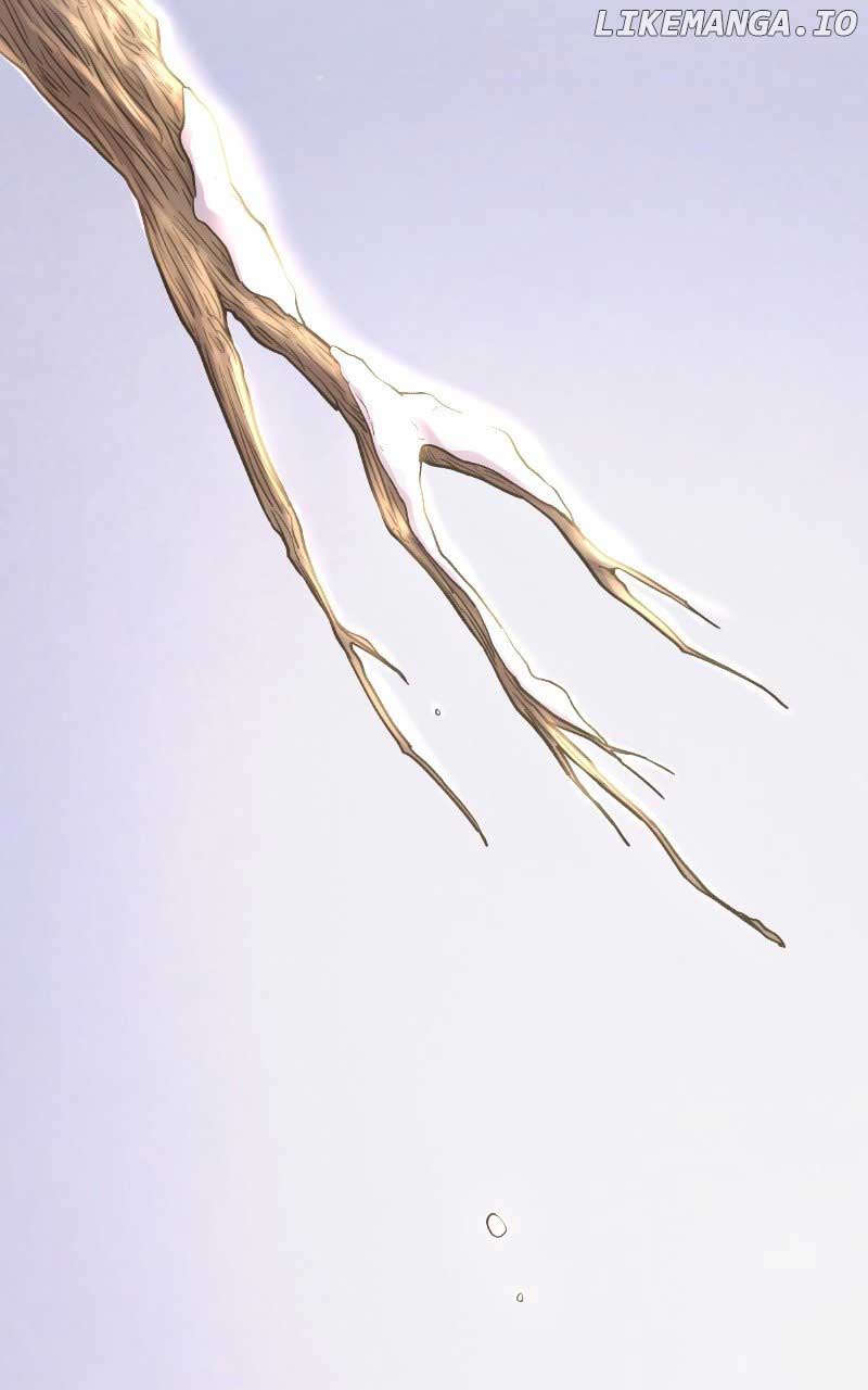 Like A Wind On A Dry Branch Chapter 166 - Page 116