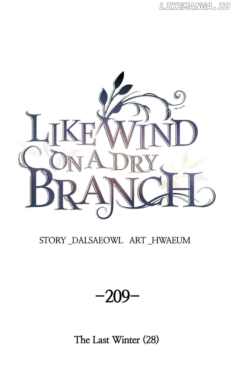 Like A Wind On A Dry Branch Chapter 209 - Page 1